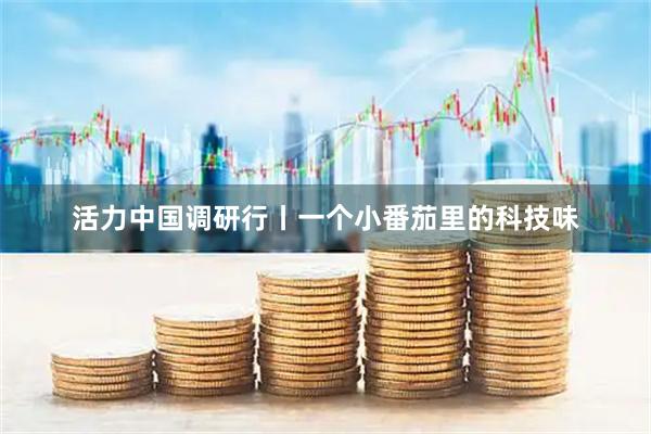 活力中国调研行丨一个小番茄里的科技味